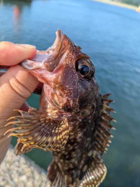 釣り場を転々と